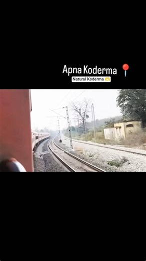 Thanks for watching my video#vuralvideo #youtubfeed #youtubeshorts #trandingshorts #viral