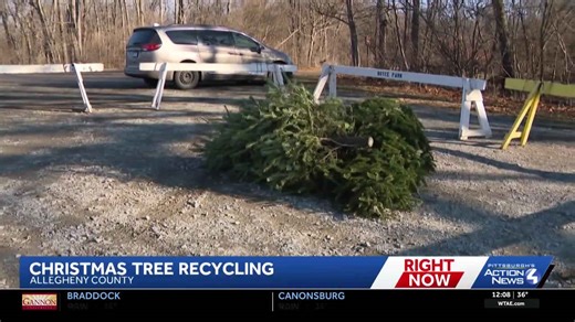 Allegheny County Christmas tree recycling program underway