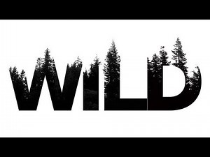 Into The Wild (trailer)