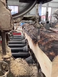 435K views · 2.1K reactions | Automatic wood cutting machine‍♂️𢡄 | proininews.gr - Πρωινή Εφημερίδα | Facebook