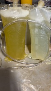 398 reactions · 18 shares | Dirty maiden mares, culture your mares 珞 this mare is 6, great conformation and a functioning cervix #2025breedingseason #lavaged #attentiontodetail #ceragyn | Aint Seen Nothin Yet | Facebook