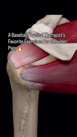 Top Exercises for Baseball Players' Shoulder Health