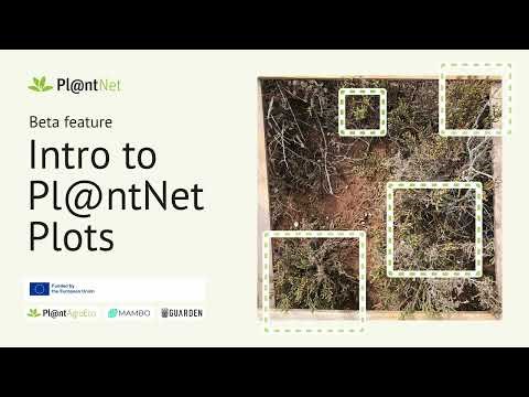 Intro to Pl@ntNet plots