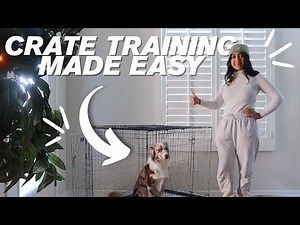 Crate Training Tips that ACTUALLY WORK! (I tried them)