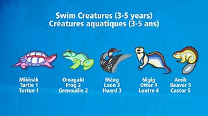 2.4K views · 22 reactions | Starting in January 2023, get ready to make a splash with #OttCity's revamped swimming lesson program! Today, September 28, Swim City was unveiled. Designed by City staff, the swimming lesson program was created as the Red Cross phases out parts of their services, including swimming lessons. To find about the development of the program and more, visit: https://bit.ly/3LRJjDl | City of Ottawa | Facebook