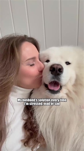 Emotional support doggo 🐶 #samoyed #dog #emotionalsupport #cuddles