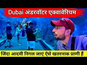 Dubai aquarium Underwater Zoo | ये अंडरवाटर zoo डरावना हैं, विशालकाय जीव हैं यहां