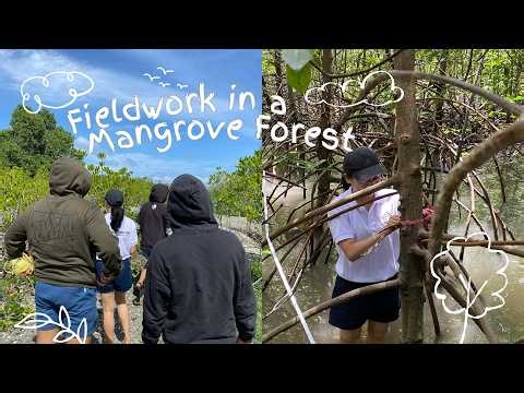 vlog | first fieldwork as an environmental science student 🌱