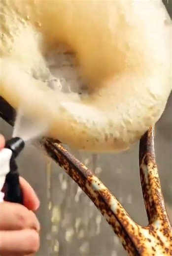 Magic Rust Remover ✨ 10