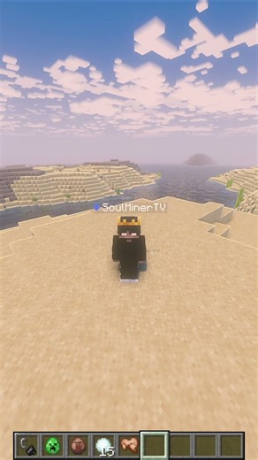 Eigenen Minecraft Server auf eurem PC #shorts #minecraft #free