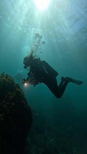 1.9K views · 12 reactions | (Please only pee in your wetsuit if you own it ) #sutherlandshire #scubadiving #openwatercourse #openwater #wetsuit divegirl scubalife | Abyss Scuba Diving | Facebook