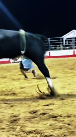 Fighter and Bull!#bullfighting #matador #softly #extreme #traditional