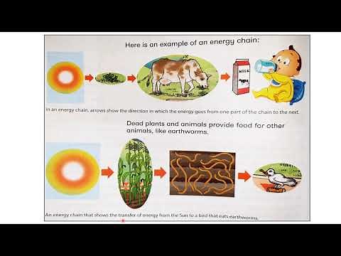 Grade 4 Term 3 Week 3 NS and Tech Lesson Monday
