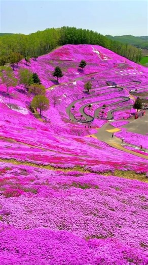 most beautiful places on earth😻#usa #travel #nature #shorts