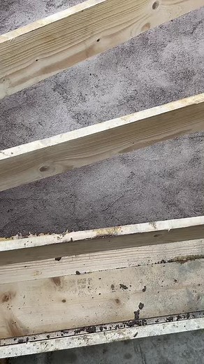 nihadkrso sur TikTok