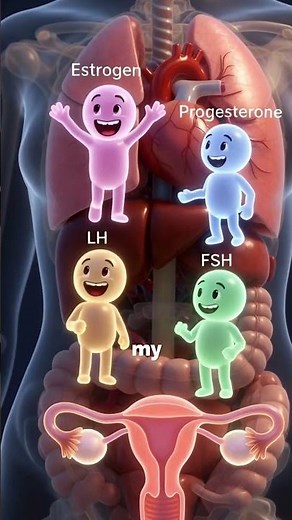 How Estrogen, Progesterone, Change During the Menstrual Cycle #howyourbodyworks #mensuration