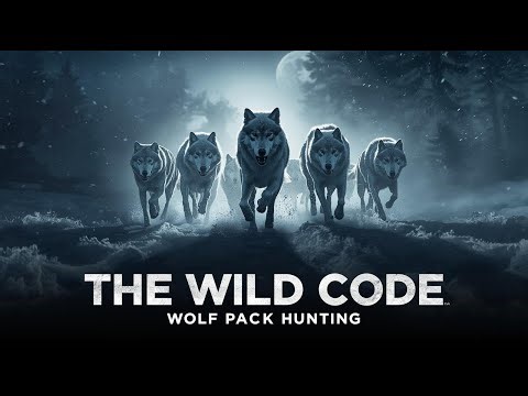 The Wild Code | Wolf Pack Hunting – The Art of Survival in the Frozen Wild