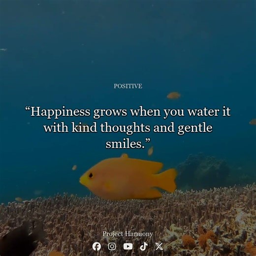 Daily Harmony - 14 May 2026