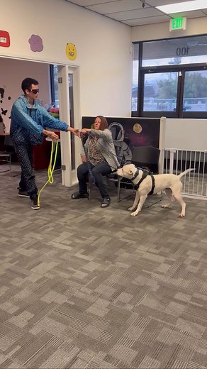 Unsocialized dog in Sacramento.. | The Dog Daddy