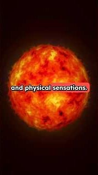 How Solar Storms Affect the Human Body #space #shorts #science