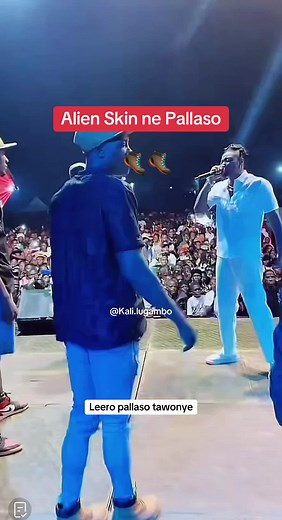 Pallaso meets Alien Skin: A Surprise Encounter Revealed