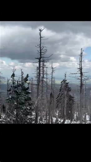 The Witch’s Peak: A Snowy Steam Train Journey to Brocken for Walpurgis Night