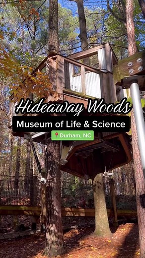 Hideaway Woods at Durham’s Museum of Life and Science 😉 | NC Tripping