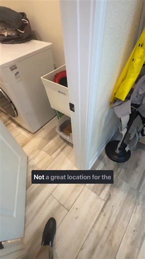 Choose your kitty litter locations wisely 🐈 | Brantley May