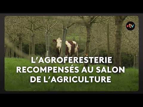 Awarded for sustainable management: a first prize in agroforestry.