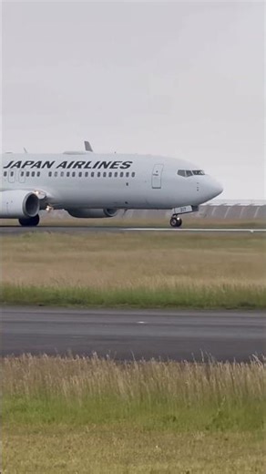 山口宇部空港 JAL Boeing 737-846 JA317J #飛行機好きな人と繋がりたい #飛行機好き #aviation #planespotting