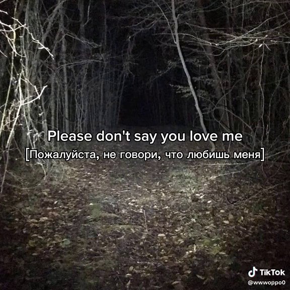 Mitski First Love Late Spring Lyrics