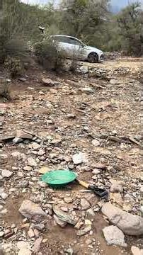 Prospecting in the Prescott National forest.. 🌳 #gold #goldprospecting #arizona #goldpanning