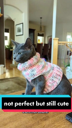 Crochet Tutorial: How to Make Cat Clothes for Nugget the Kitten