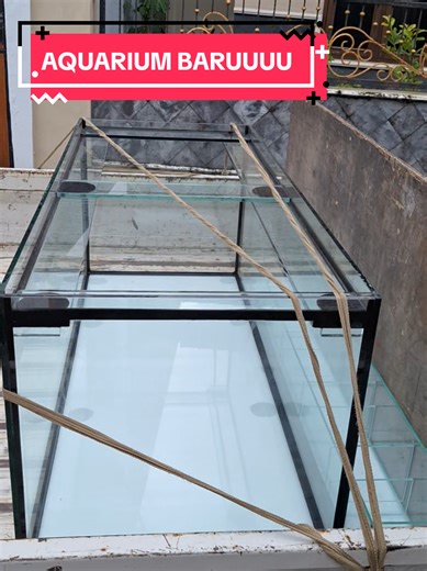 Exciting Updates on My Aquarium Hobby