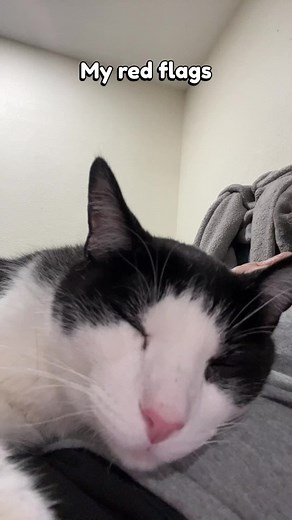 Linda Shaw Celaya (@lindashawcelaya)’s videos with fearless sped up - r & m