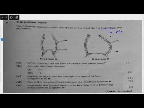 G9 integrated science