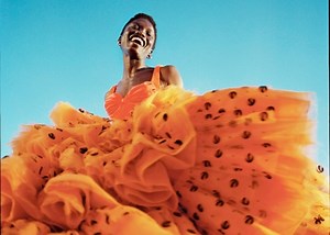 Gallery: Detroit Institute of Arts challenges stereotypes in 'The New Black Vanguard,' a 4-month photo exhibit