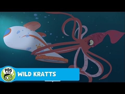 WILD KRATTS | Watch Creatures of the Deep Sea on November 23! | PBS KIDS