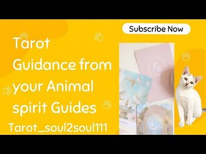 🐬Animal Spirit Messages for Your Path Ahead 🐦
