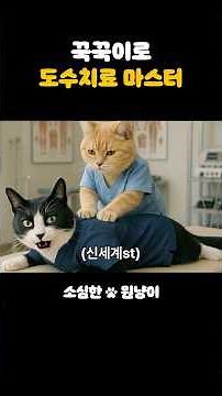 [소심한 원냥이] 물리치료 편