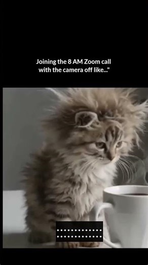 Zoom Call #memes #funny #relatable #relatablememes #reels