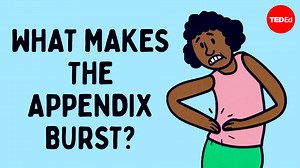 What causes appendicitis? And why is this organ so prone to bursting? | TED-Ed