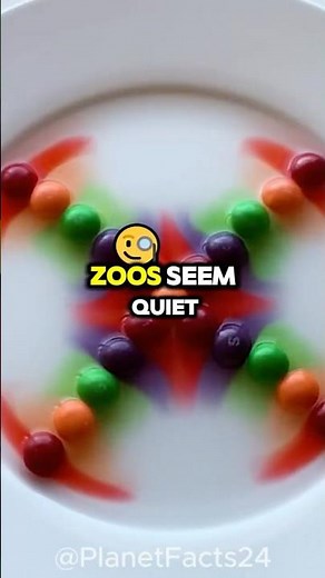 Secret Facts About ZOO You Didn't Know 😱