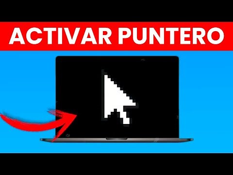 Cómo Activar el Puntero de mi Laptop ✅ 2024