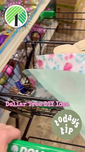 Diylivingbytalisalindsay on TikTok