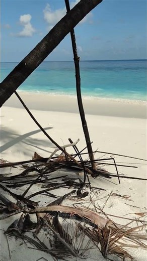 Deserted island# Short#travel #beach # SamVlog #