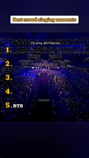 Best Crowd Singing Moments Ever at Concerts