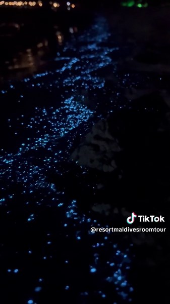 Rare Phenomenon in the Maldives: Sea Sparkle Bioluminescence Explained