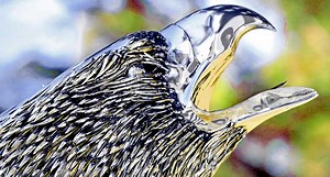 Breathtaking Stainless Bald Eagle Sculpture Valued at $250,000