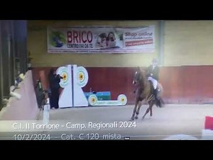 Cavallo in vendita - VENDITA - equirodi.it